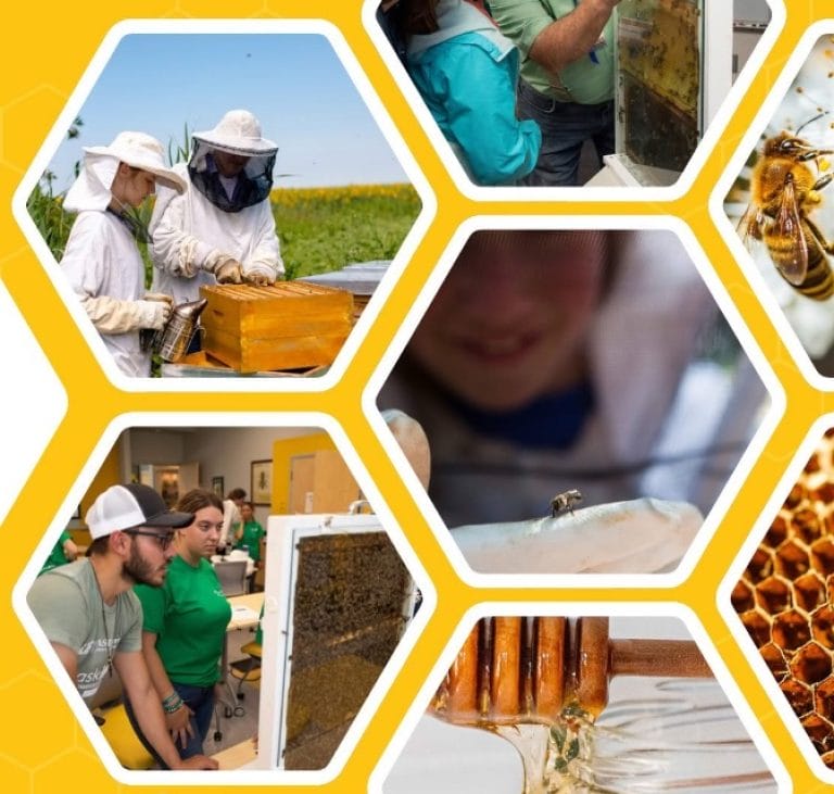 Ridge Beekeepers Offers Beekeeping Seminar April 26