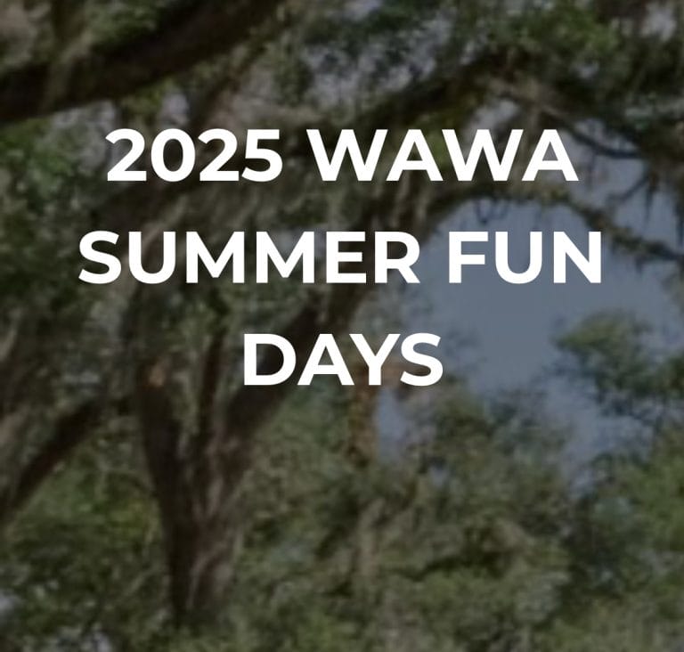 2025 Bok Tower Gardens Wawa Summer Fun Days Return