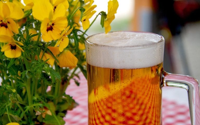 Proposed Social District Raises Concerns about Public Drunkenness and Potential Exclusion of Certain Businesses 